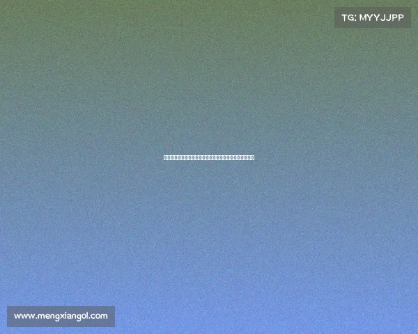 德甲联赛历史与现状分析：豪门竞争与青训体系的双重发展