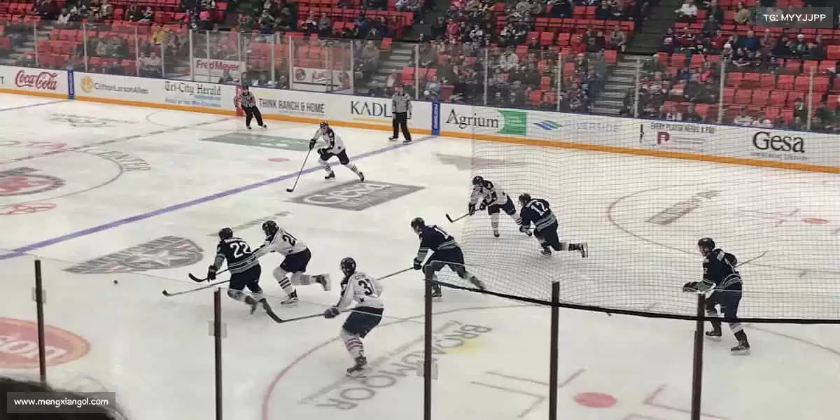 每一行代码，都是匠心的印记！